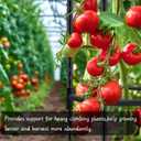Tomato Cages for Garden Sturdy Metal Plant Stakes SupKing 2 Pack 47 Inch Tall Adjustable Heavy Duty Plant Support Cage Trellis for Outdoor Climbing Rose Vegetables Plants Flowers Comes 20 Twist Ties