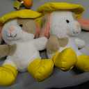 2 x Dog in a hat plush toy