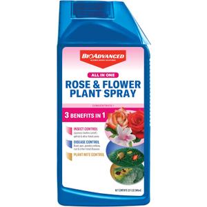 BioAdvanced All-in-One Rose & Flower Plant Care, Concentrate, 32 Ounce, Aphid Spray for Outdoor Plants, Fungicide for Plants
