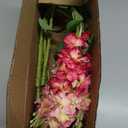 5pcs Delphinium Artificial Flowers Silk UV Resistant Flowers, 25.5" Long Stem Fake Pink Flower for Tall Vase, UV Protected Faux Floral Arrangements for DIY Bouquets Centerpieces Home Wedding Decor