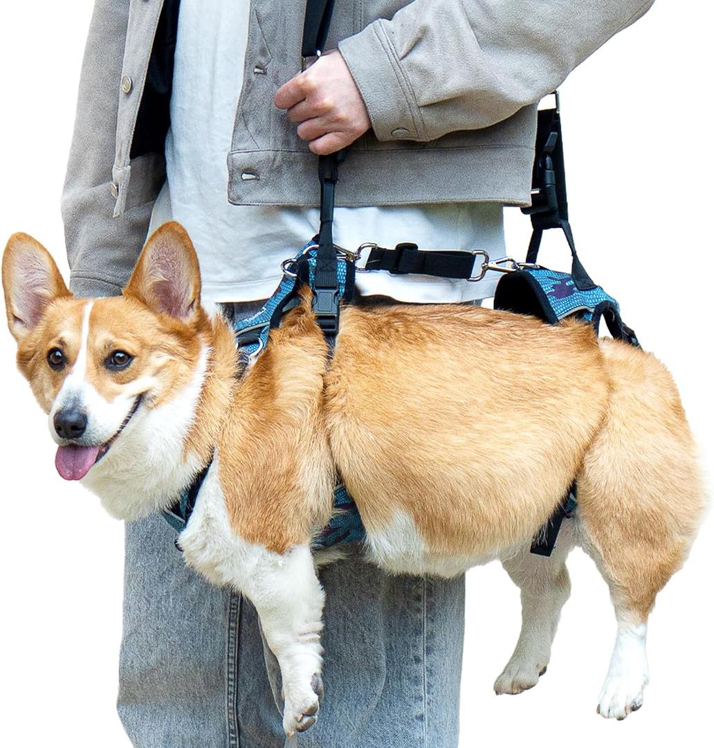 Dog Lift Harness, Dog Lift Sling Carrier with Handle & Shoulder Sling, Support Harness for Rear Back Legs Helps,Disabled,Arthritis,Joint Injuries,Paralysis Up StairsBlue,Large