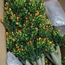 Giegxin 4 Pack 23.6'' Artificial Boxwood Topiary Ball Tree with Orange Fruit, Outdoor Faux Shrubs with Ground Spike No Maintenance Fake Bushes for Home Front Door Porch Fall Winter Garden Yard Decor