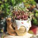 Capybara Resin Succulent Planter Set of 2 - Mini Garden Decor with Drainage Holes (4.1"x2.75", for Plant Lovers)