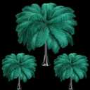 Maitys 90 Pcs Large Natural Ostrich Feathers Bulk 14-16 Inch (35-40cm) 12-14 Inch (30-35cm) 10-12 Inch (25-30cm) Ostrich Feathers Plumes for Centerpieces Wedding (Blackish Green)