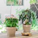 Melphoe Plant Pots Indoor with Drainage & Saucer, 2Pack 7/8 inch Flower Pots Outdoor Planters for Indoor Plants Garden Home Decor Cactus Succulent, Rigid Plastic (Imitation-Terracotta) Vine-Embossed