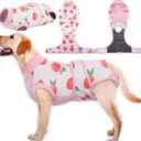 Kuoser Dog Recovery Suit Female, Dog Onesie for Surgery, Female Spay and Male Neuter Onesie for Post-Op Care, Prevent Licking Puppy Onesies (XS)