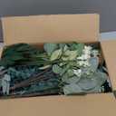 150 Pcs 4 Kinds Mixed Artificial Eucalyptus Leaves Stems Bulk Fake Silver Dollar Eucalyptus Bundle Faux Plants Greenery for DIY Bouquets Floral Arrangement Wedding Engagement Party Decor