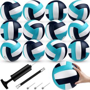 Meooeck 12 Pcs Volleyballs Official Size 5 Volley Balls Bulk Practice Volleyballs Indoor Outdoor Soft Recreational Volley Ball with Pump for Beginner for Gym Training Beach Pool (Cute)