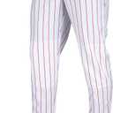 Champro Men's Triple Crown 2.0 Tapered Bottom Baseball Pants with Pinstripes (S)