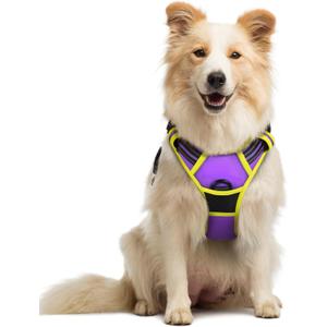 rabbitgoo Dog Harness No Pull with 2 Leash Clips, Adjustable Soft Padded, Reflective Oxford No Choke Pet Vest with Easy Control Handle for Medium Sized Dogs, Purple & Yellow, M