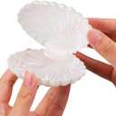 DOITOOL Sea Shells Candy Boxes : 10Pcs Seashell Party Favors Containers Plastic Chocolate Boxes Creative Jewelry Holder Clam Treat Holders for Wedding Birthday Party Decorations (White)