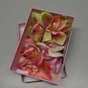 3 PCS Hawaiian Flower Hair Clips for Women Artificial Orchid Hair Barrettes Hibiscus Flower Hair Clips for Wedding Bridal Beach Party(Pink+Rose+Green)