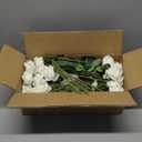 Hananona Artificial Roses in Bulk, Fake Velvet Silk Roses Realistic Rose for Wedding Centerpieces Flower Arrangement Home Decor (50, White)