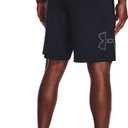 Under Armour Men's UA Tech Graphic Shorts LG Black, Large