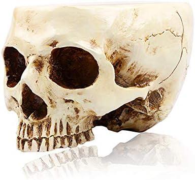 RMM Halloween Decoration Retro Human Skull Head Flower Pot Planter Bed Box Container Replica Home Bar Décor, Clear 2 PACKS