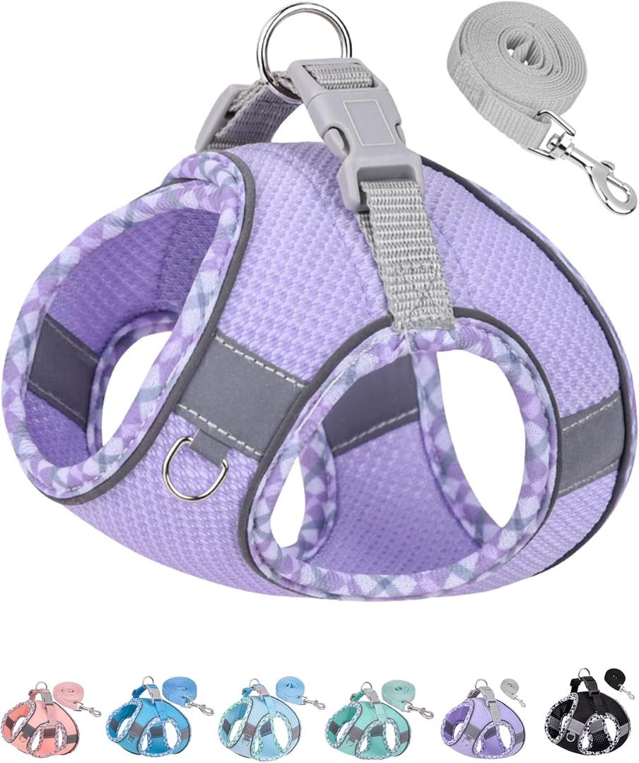 Petank Dog Harness for Small Medium Dogs No Pull, Puppy Harness and Leash Set, Step in Dog Harness for Walking, Running, Training, Small Dog Vest(Purple, S)