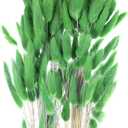 MECCANIXITY 120pcs Natural Rabbit Bunny Tails Dried Flowers 24" Mini Pampas Grass Lagurus Ovatus Bunch for Floral Wedding Decor Christmas, Dark Green