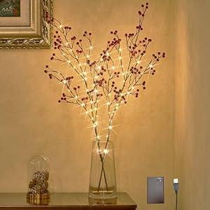 LITBLOOM Lighted Red Berry Branches 80 LED Fairy Lights with Timer, Twig Branches with Lights 32IN Battery Operated and USB Plug in for Home Fireplace Christmas Decoration