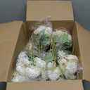 Tigeen Artificial Flowers Artificial Peonies Silk Flowers Faux Peony Fake Peony Silk Hydrangea Bouquet for Wedding Table Centerpiece Floral Vase Decor(White,24 Bundles)