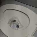 Bemis 1500EC Durable Wood Toilet Seat with Easy Clean Hinges, Made in USA, Elongated, Biscuit