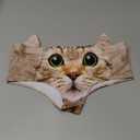 Ababalaya Womens Underwear Funny Panties For women, Gift Ideas For Her, Valentines Gifts (Medium, Kitty)