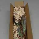 Ttranewsoo Hydrangea Artificial Flowers,Fall Hydrangeas Artificial Flowers, Fake Fall Dried Hydrangea Decoration,Faux Silk Flower with Stems Winter Decor Without Vase, White,  8PCS