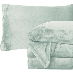 Elegant Comfort Luxuriously Soft 4-Piece Velvet Plush Flannel Sheet Set - Premium Quality - Cozy Warm, Anti-Static, Non Pilling Fuzzy Velvet Flannel Fleece Deep Pocket Sheet Set - Queen, Mint Green