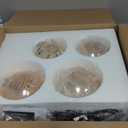 TD00145 Sputnik Chandelier Floor Lamp for Bedroom,4-Lights Glass Shade Floor Lamps for Living Room,Brass/Gold