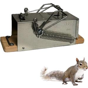 Big Squirrel Trap Indoor Outdoor  Medium Rodent Trap  Ouell Traps  Black and Grey Squirrels  QAI Quell  Most Powerful Trap