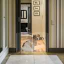 Clear Freestanding Dog Gate for Indoor Use,Pet Gates for Doorways no Drilling,Acrylic Foldable Dog Gate for Stairs with Support Feet (2 Panel - 40''W x 23''H)