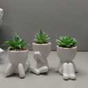 Der Rose 3pcs Fake Succulents Plants Artificial for Bathroom Bedroom Home Room Decor Aesthetic Indoor