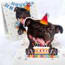 3 x Staffordshire Bull Terrier Birthday Card 3D Pop Up  Staffy with Party Hat & Birthday Cake, Funny Birthday Card for Staffy Lovers, Staffordshire Bull Terrier Mom Dad Gift, 6x6 Inch, Includes Envelope