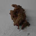 majoywoo Natural Large Driftwood for Aquarium Decor Reptile Decor 13-17" Long, Over 1.3 lbs
