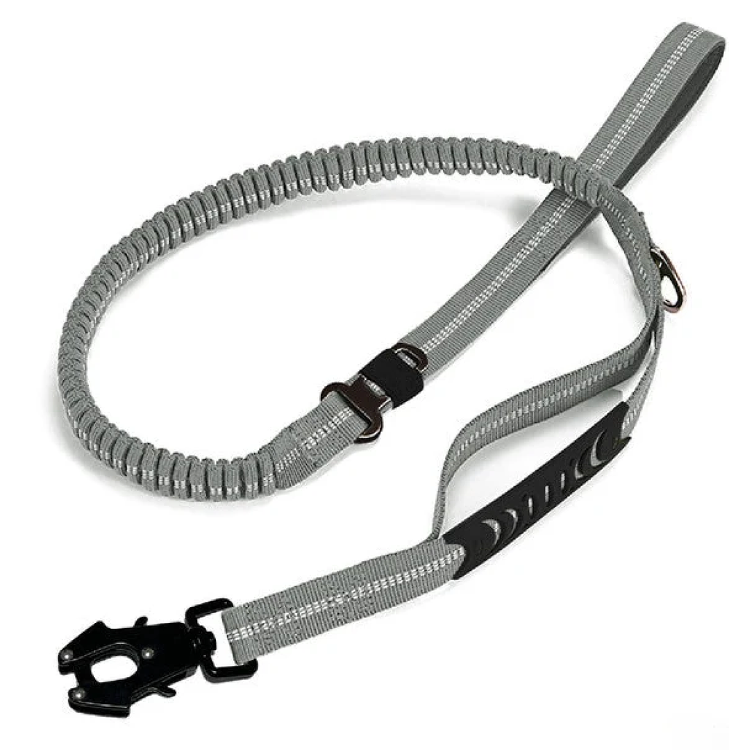 Shock Absorbing Dog Leash with Reflective Stitching - for Small to Large Dogs - Grey