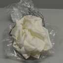 City Chic Women's Plus Size Pant - Florence Placement, 14