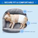 Wowflash 100 Count Dog Belly Bands for Male Dogs, Male Dog Diapers Disposable, Leakproof Dog Wraps with Wetness Indicator, Breathable Quick-Dry, Secure Fit for Doggy Puppy Training, Small