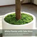 6FT Artificial Fiddle Leaf Fig Tree with White Planter & Fake Moss, Realistic Faux Ficus Lyrata Floor Plant for Indoor Home Office Decor, Housewarming Gift