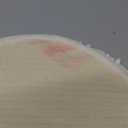 Tangpan Heart Bath Rugs Luxurious Microfiber Chenille Non Slip Mat Color White 60cm(23.62inch) by 70cm(27.56inch)