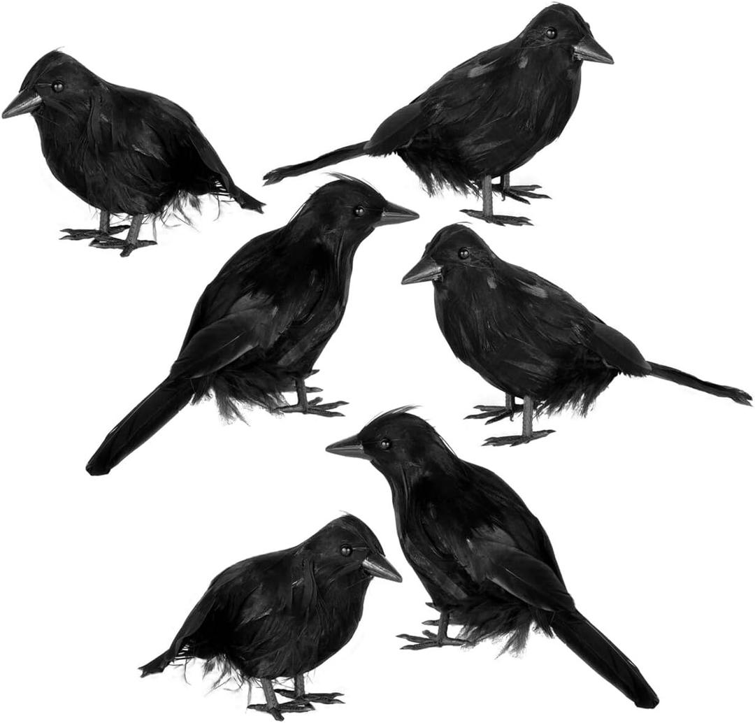 JOYIN 6 Pcs Black Halloween Crow Decor, Realistic Crow Raven Decoration Indoor Outdoor Decor Fake Ravens Prop Haunted House Graveyard Cemetery Yard Table Party Favors Desk Trees Walls Windows (6.7/5.9/7.0 inch)