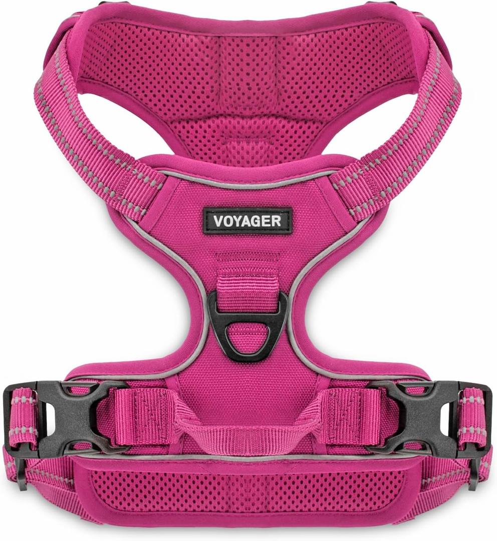 Voyager Dog Harness Dual Leash Attachment No-Pull Control Adjustable Soft but Strong Pet Harness for Medium and Large Dogs with 3M Reflective Technology, Fuchsia Nylon, L (Chest: 25-30")