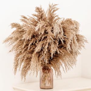 20 Pcs 23 Inch Tall Fluffy Pampas Grass XL Size Brown Dry Pompous Grass Decor Wedding Flower Boho Decor Natural Pompas Flower Bouquet (Brown, 23 inch)