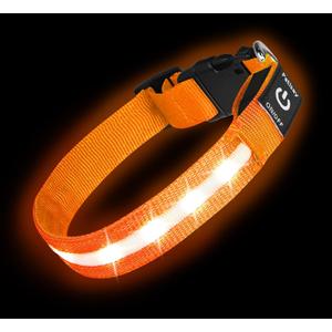 Super Bright LED Dog Collar - Fully Waterproof & Adjustable Glow Collar - USB-C Rechargeable for Night Walking, Safety - Flashing Lighted Collar for Dogs(Orange,L)