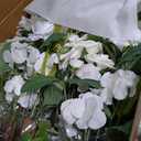 Ling's moment Free-Standing Wedding Aisle Runner Flowers Lily of The Valley | 17.5" Tall 4pcs Artificial Flowers Arrangement Chair Decoration for Centerpieces Ceremony Reception Rose Floral Party Indoor