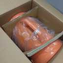 Allegro Industries 9536‐15 9536 15 Plastic Compaxial Blower Dc with 15' Ducting and Canister Assembly, 8"