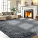 Fluffy Area Rug Living Room: Grey Shag Rug 6x9 Plush Rugs for Living Room - Large Fuzzy Soft Carpet (Gray 6x9 Feet)