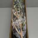 Artificial Olive Tree, 5FT Tall Faux Silk Plant Artificial Tree in Potted Oliver Branch Leaves and Fruits for Modern Home Decor Indoor