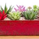 ARTKETTY Succulent Pots - Large Succulent Planter Pots with Drainage, 12 Inch Long Rectangle Bonsai Pot with Bamboo Tray Shallow Ceramic Cactus Flower Planter Window Box for Home Garden Decor (Red)