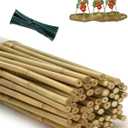 4 Ft Bamboo Stakes for Plant with Twist Ties 60 pcs Bamboo Sticks Plant Support Garden Stakes Poles for Tomatoes Cucumber Grapes Pole Beans Trees Potted Dahlia Flowers