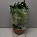 Hollyone Large Fake Hanging Ferns 49 Leaves Boston Ferns Artificial Plants Outdoor Indoor Potted Plant 23.6inch Faux Fern in Baskets Pot Artificial Hanging Fern Bush Plant for Patio Garden Porch Decor