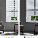 Persilux Cordless Zebra Blinds for Windows (45" W X 64" H, White) Free-Stop Roller Windows Shades Dual Layer Light Control for Day and Night, Light Filtering Sheer Shades for Home, Easy to Install